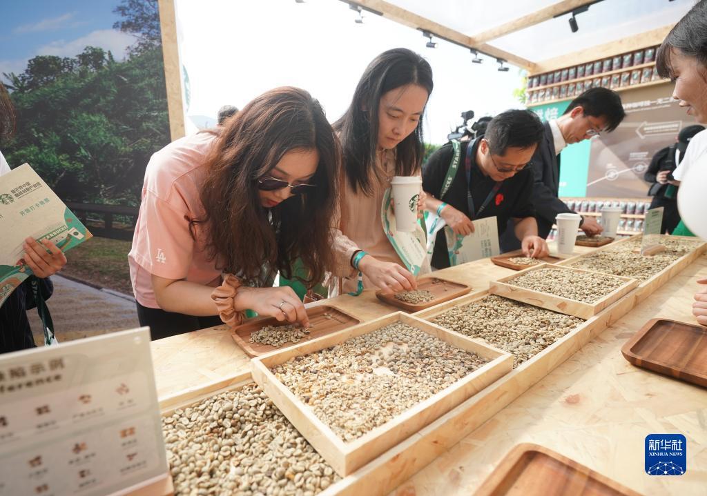 白菜折扣网